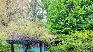 A garden with a gazebo, various shrubs, and flowering plants. - Lakeside Grove Cottage -  Perfect Lakeside Village/Beach Location (Lakeside)