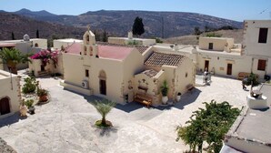 A courtyard with buildings, a palm tree, and a mountain in the background.