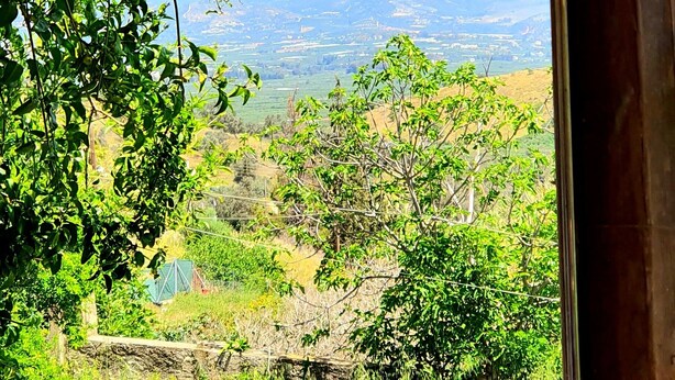 A metal showerhead with a clear view of a landscape through a window, including greenery and distant hills.