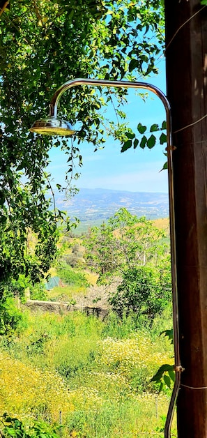 Un cabezal de ducha metálico con vista despejada a un paisaje, que incluye vegetación y colinas al lejano.