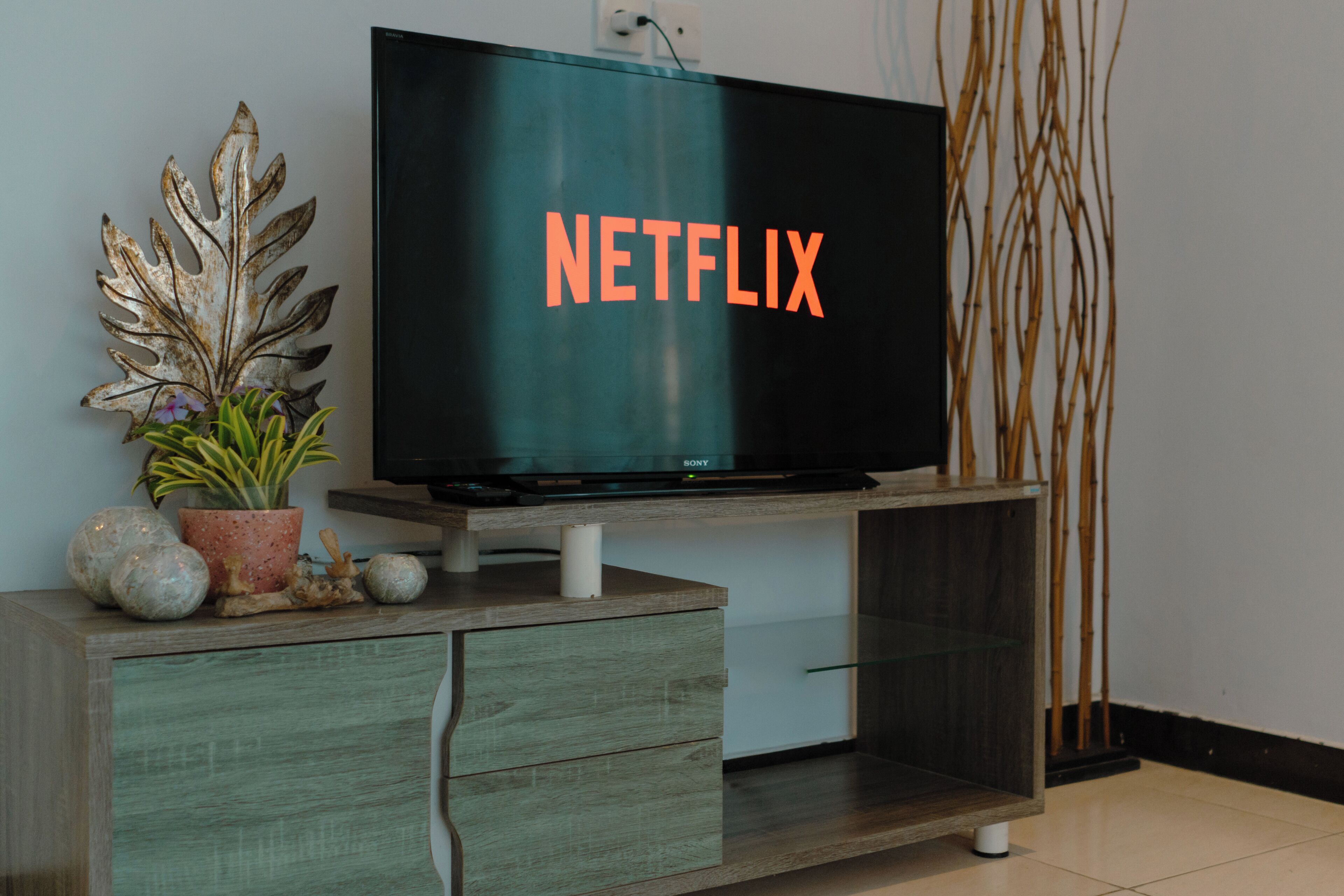 A flat-screen TV on a wooden stand with a decorative leaf and a potted plant beside it.