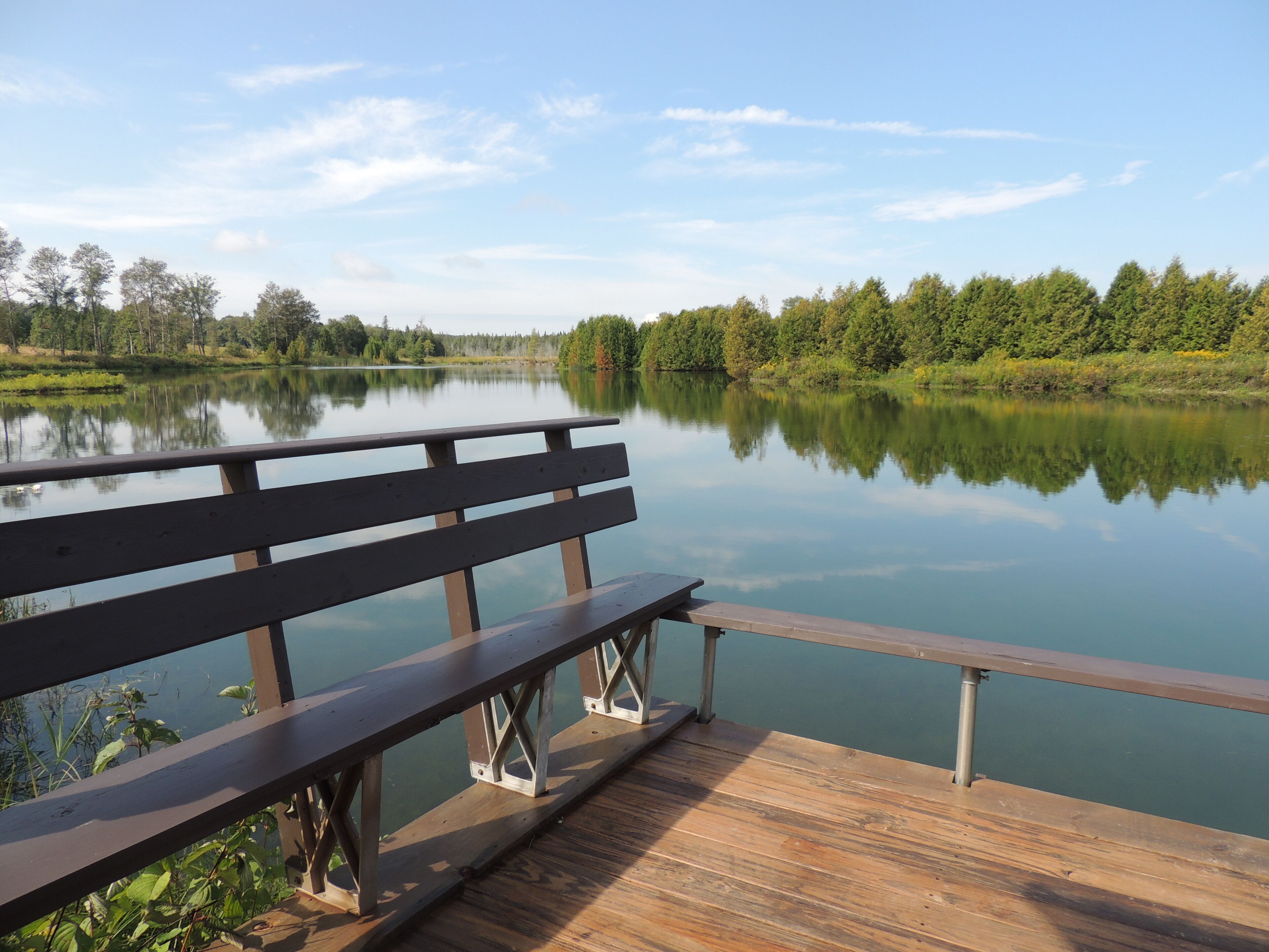 Waterfront Cabin On Private Trout Lake