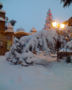 Property grounds - HOUSE IN THE COUNTRYSIDE IN THE HEART OF THE QUIET MONFERRATOIN (Castell'Alfero)