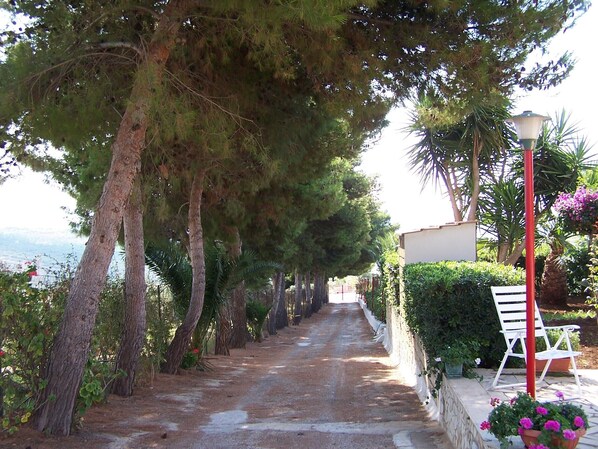 A paved pathway lined with trees and a white chair.