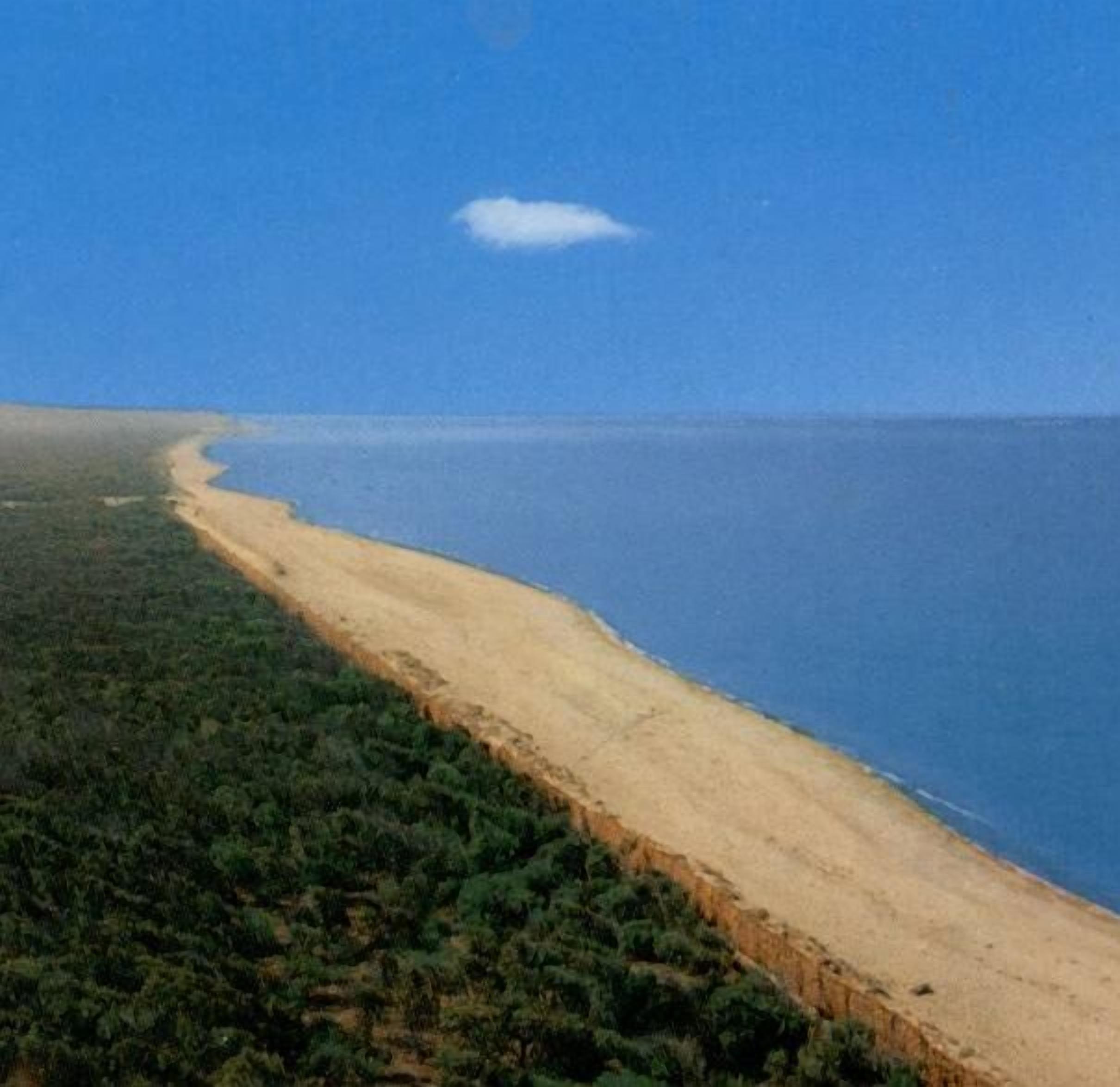 Ett kustlandskap med en sandstrand och tät vegetation.