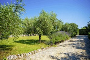 Terrain de l’hébergement 