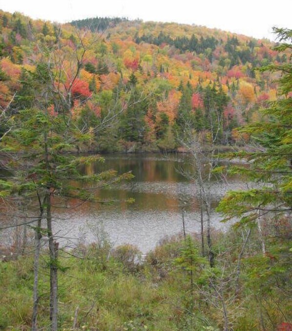 Midway Pond in the fall - 1 mile walk from condo.
