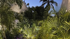A pathway flanked by lush tropical plants and palm trees, leading to a building with a white facade. - Appartment on the beach, exceptional sea view, condo BORA BORA (Saint-Martin)