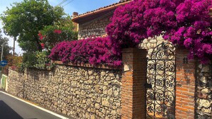 A stone wall with a brick section, a metal gate, and vibrant pink bougainvillea flowers. - CASA OASI with view & terrace (Taormina)