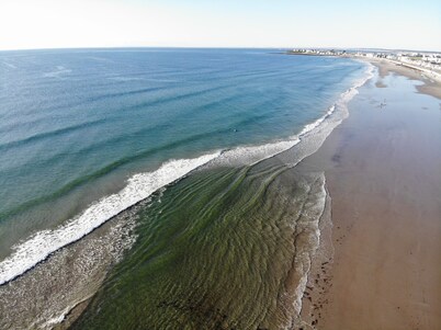 Available: Fall 2025 rental weekly or monthly. Come see and enjoy NH
this fall.