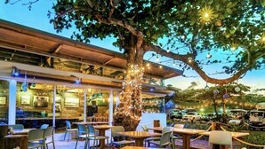 Un espacio al aire libre con mesas y sillas bajo un gran árbol, rodeado por un edificio moderno con amplios ventanales y un área de bar visible en el interior.