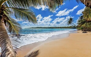 On the beach, sun-loungers, beach towels