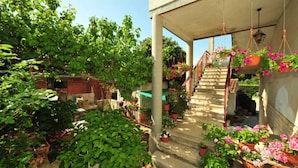 Zona exterior coberta amb una escala cap a un edifici, envoltada de vegetació abundant i plantes en testos.
