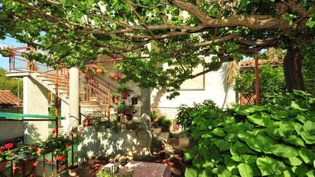 Zona exterior coberta amb escala, plantes en testos i una taula.