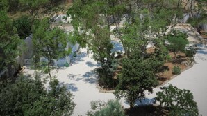 A landscaped area with trees, a paved path, and a body of water.
