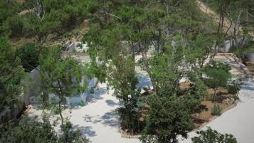 Parco della struttura