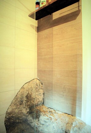 Shower, hair dryer, bidet, towels - Stunning romantic Home,large garden,Wi Fi, air conditioning,breathtaking view (Monteggiori)