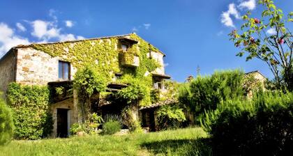 Beautiful apartment in Chianti on organic farm with pool and 360° sunset views