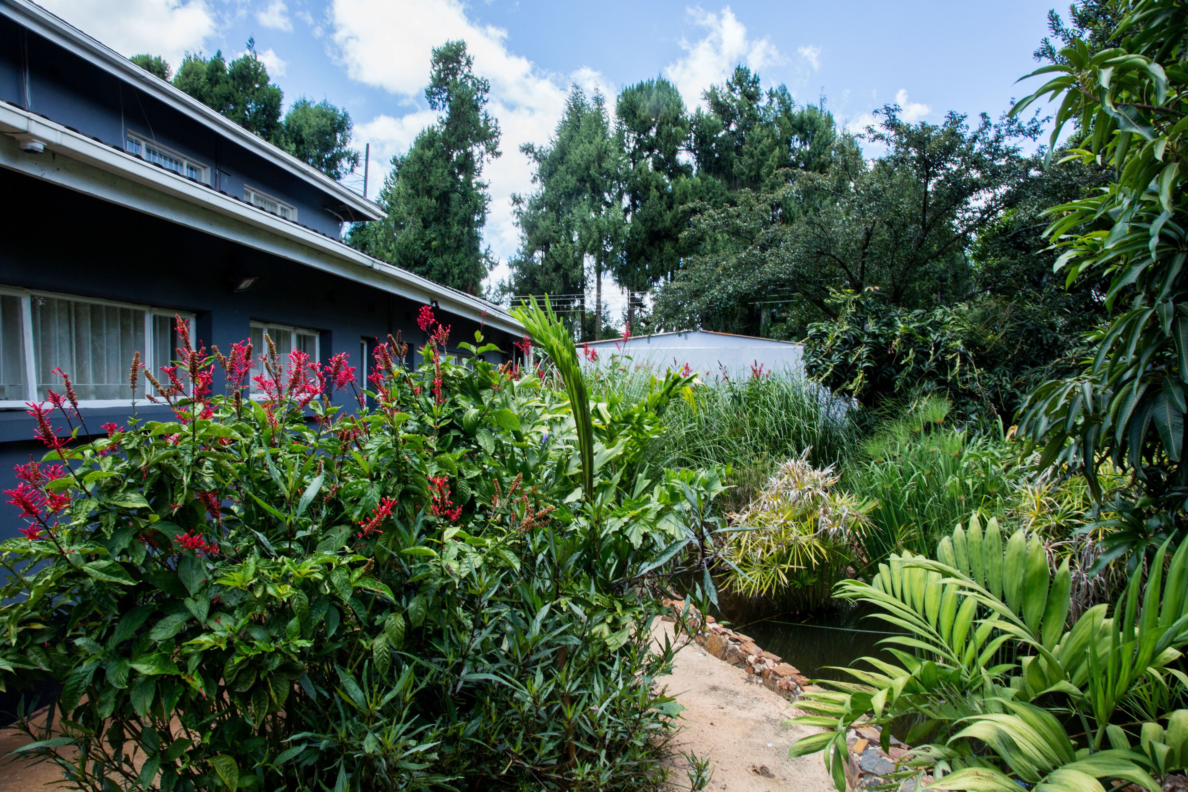 A garden with various plants and flowers in front of a building.