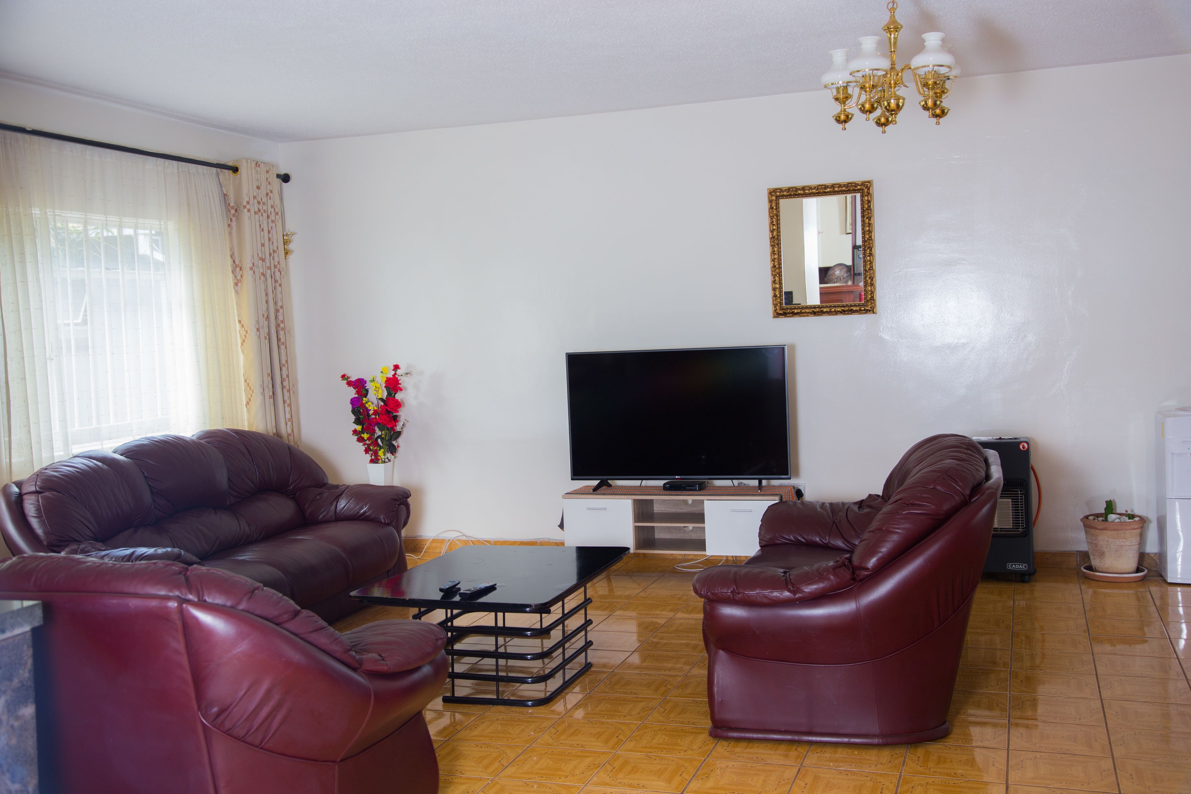 A living room with a TV, leather sofas, a coffee table, and a potted plant.