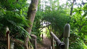 A narrow forest path with a wooden bridge, surrounded by dense green foliage. - Private Beach Access Trail And Peaceful Wooded Setting (Port Angeles)