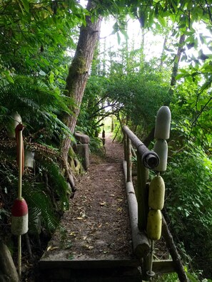 Terrein van de accommodatie