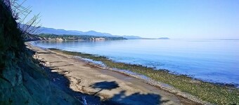 Private Beach Access Trail And Peaceful Wooded Setting