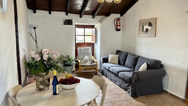 A cozy living room with a grey sofa, a dining table with chairs, a vase of flowers, and a fire extinguisher on the wall.