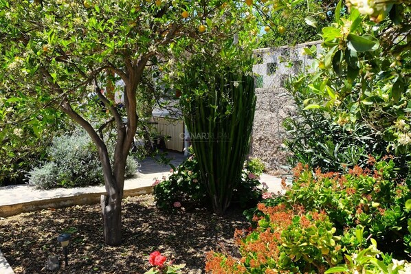 Terrein van de accommodatie