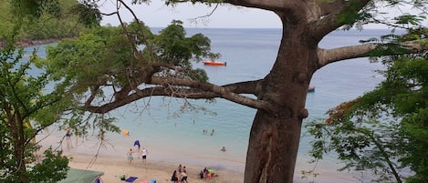 Playa en los alrededores