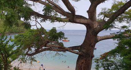 Blue Diamond Paradise Un petit coin de paradis vue mer exceptionnelle imprenable