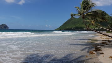 Plage à proximité