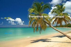 Nära stranden