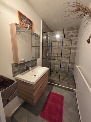 Shower, hair dryer, towels