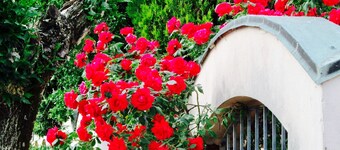 villa near Milano & Rho Fiera