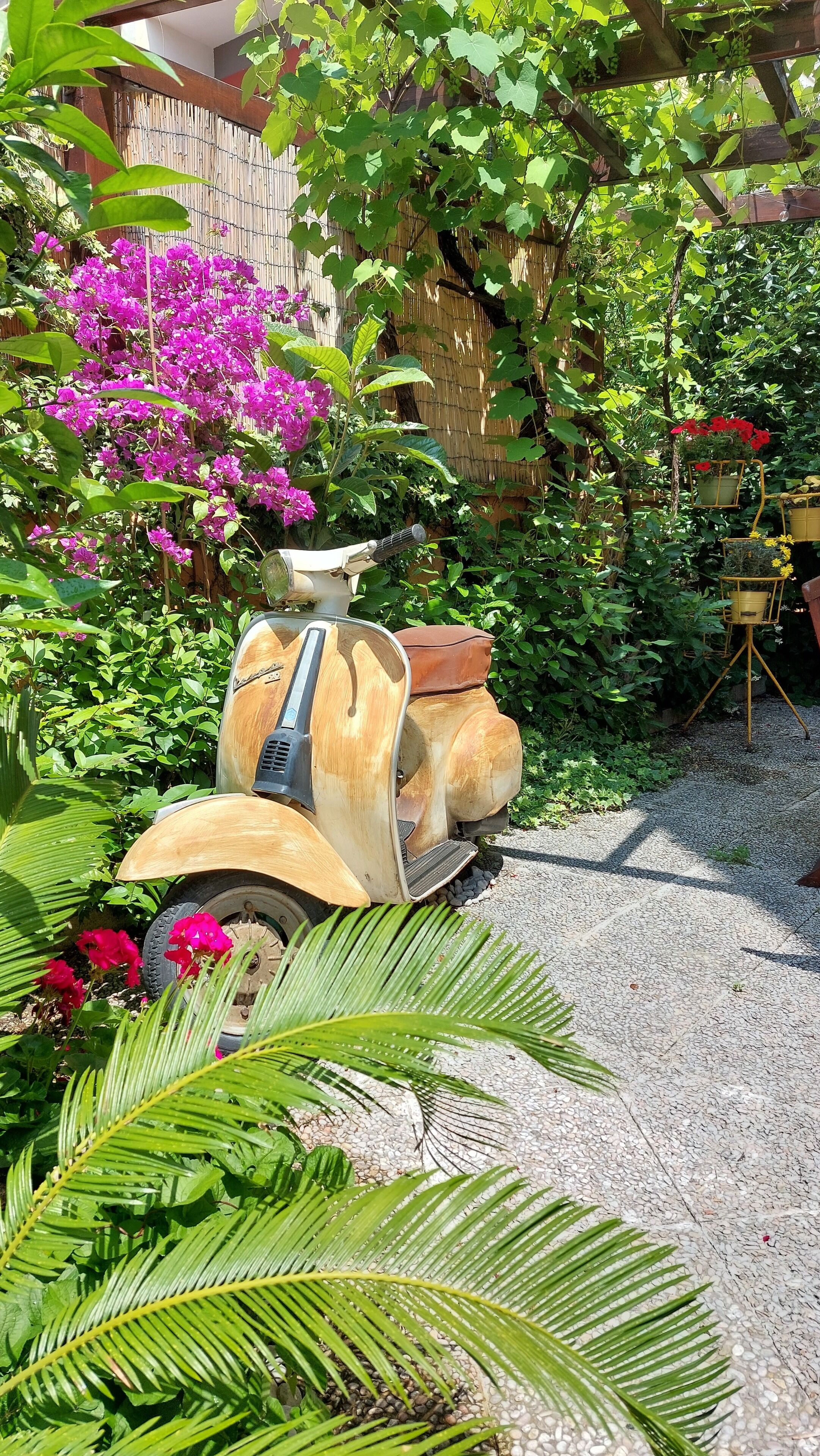 Parco della struttura