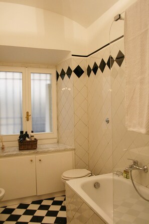 Combined shower/bathtub, hair dryer, bidet, towels