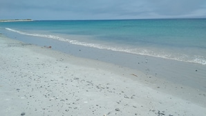 Ein Strand mit blauem Himmel und ruhiger See.