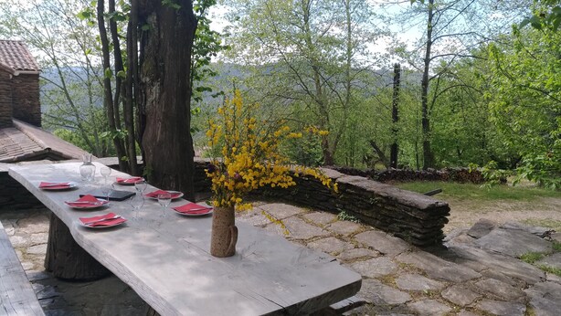 A picnic table set outdoors with a vase of yellow flowers, surrounded by a stone wall and trees. - Les Mazades, gîte  large terrace Labellisé Esprit parc national des Cévennes. (Charnavas)