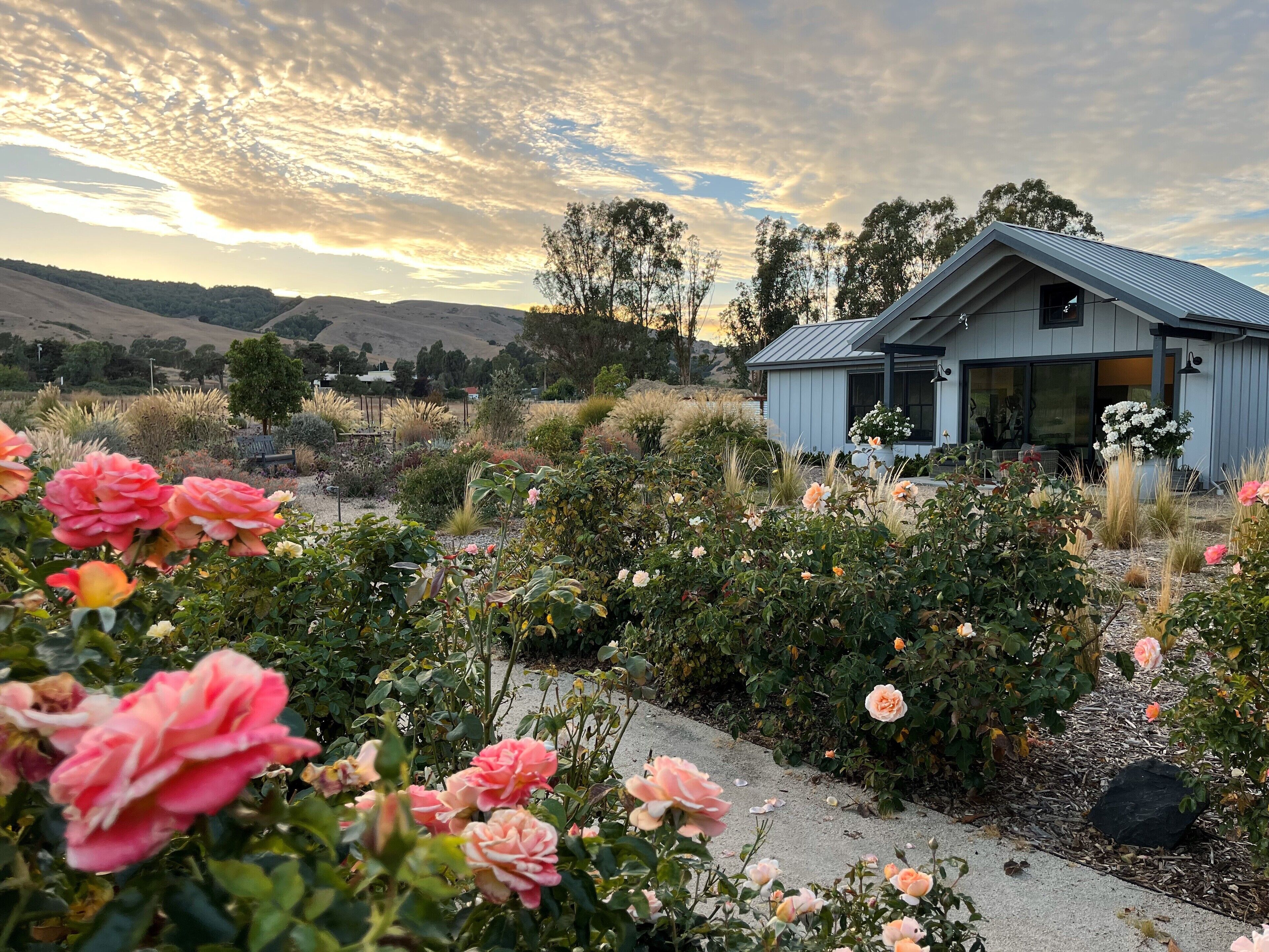 Vineyard Farmhouse Estate with pool/spa/gym