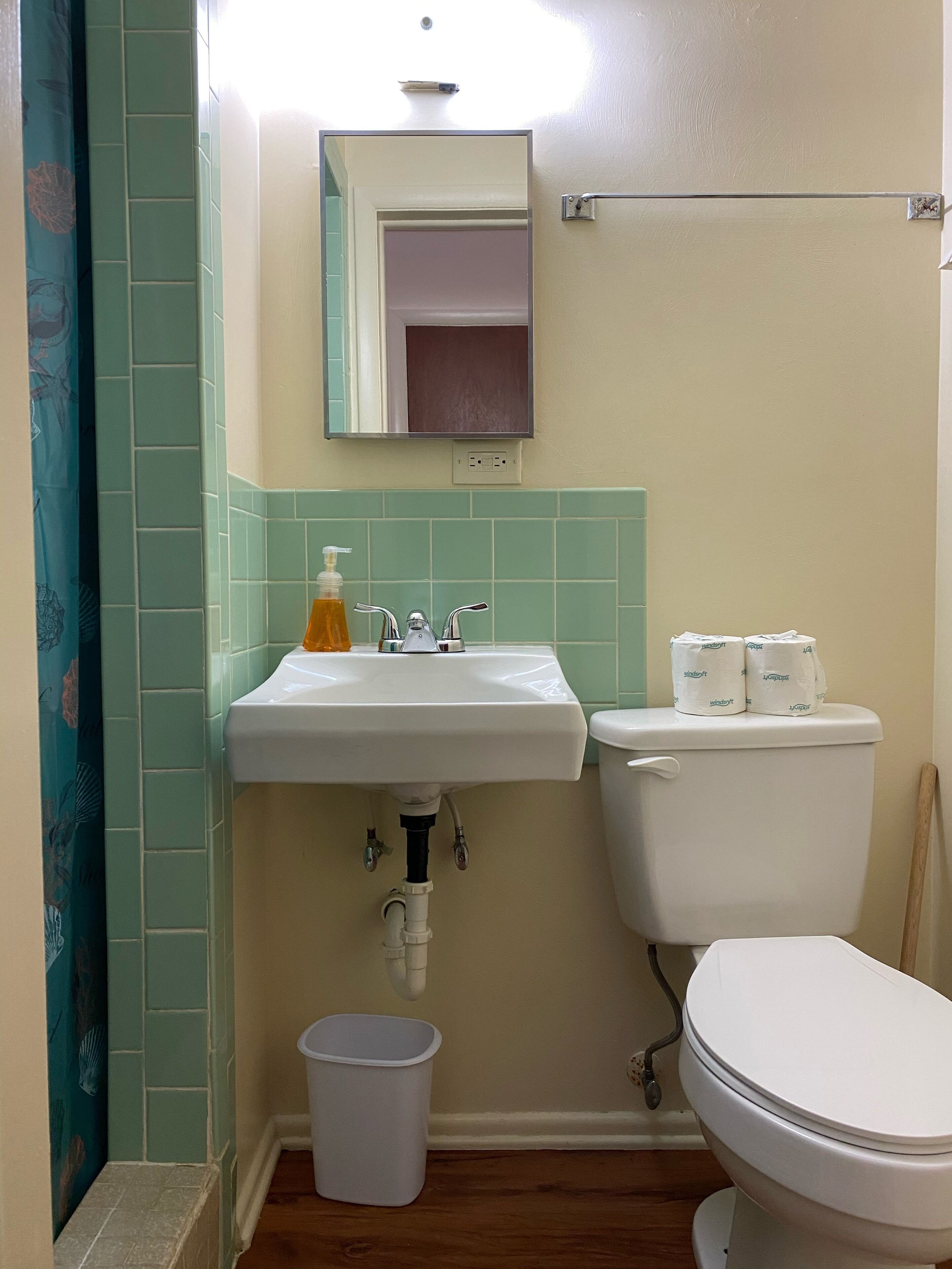Une salle de bain avec un lavabo blanc, un miroir au-dessus et des toilettes avec du papier toilette à portée de main.