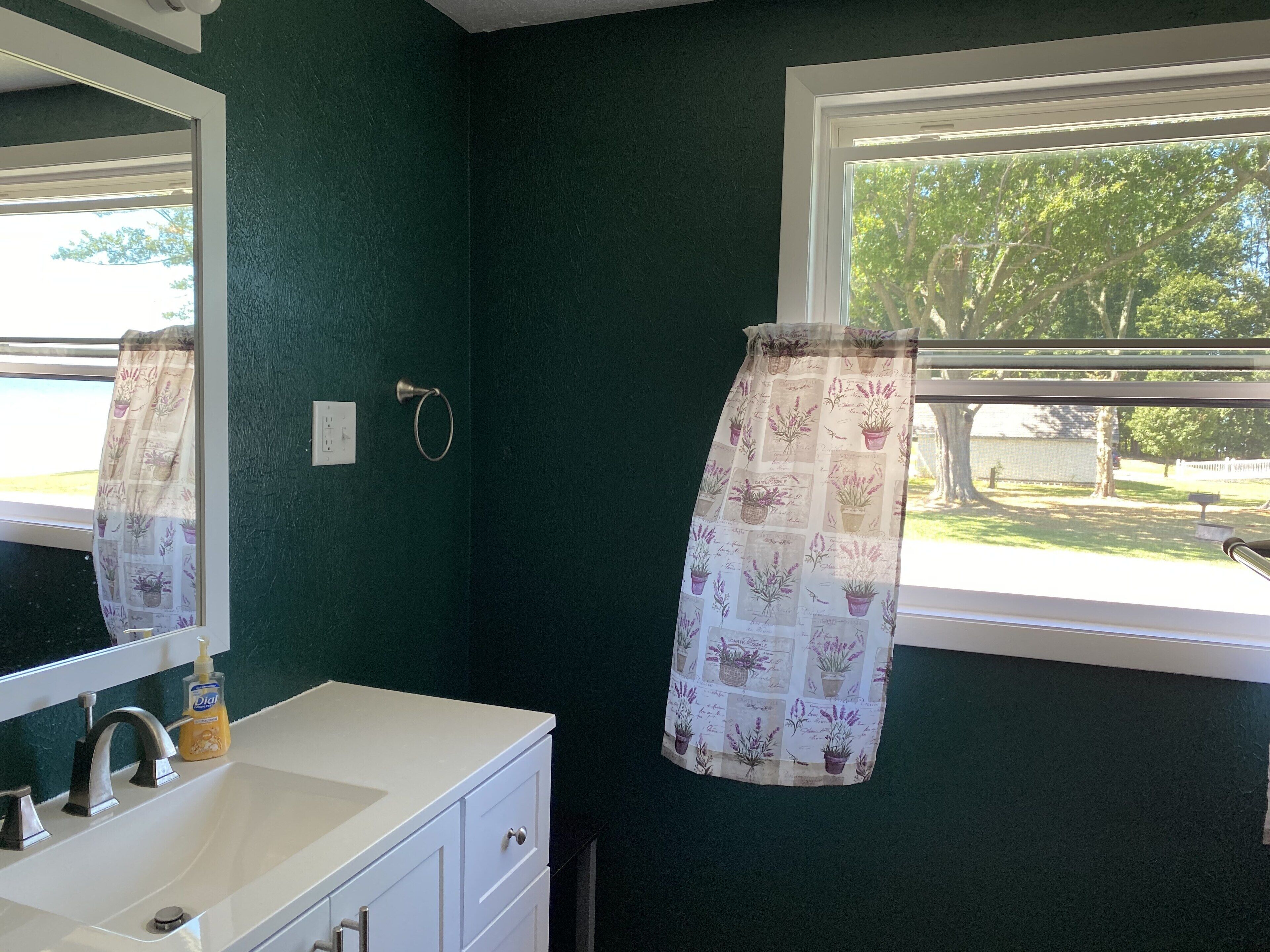 A bathroom with a white sink, a mirror, and a window with a curtain featuring plant designs.