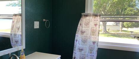 A bathroom with a white sink, a mirror, and a window with a curtain featuring plant designs.
