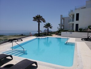 A rectangular swimming pool with a clear blue water, surrounded by lounge chairs and a palm tree.