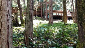 A forested area with tall trees and a wooden cabin in the background. - "Enchantment"  Medford, Oregon (Medford)