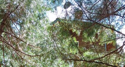 "Enchantment" Jacksonville, Oregon