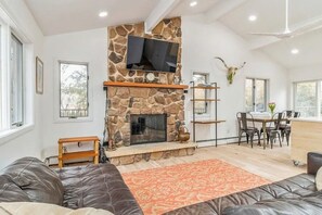 TV, fireplace, DVD player, books