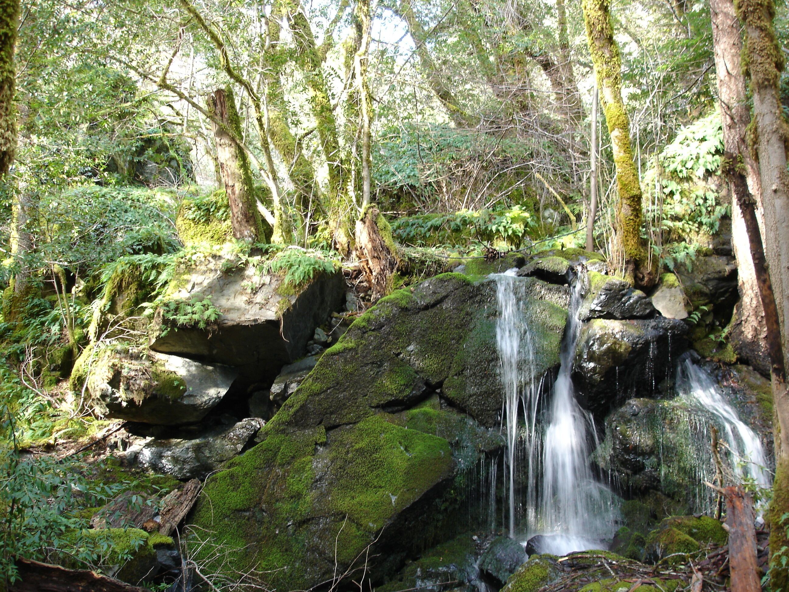 المنطقة المحيطة بالمنشأة