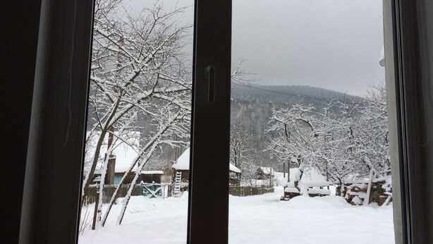 A view through a window with snow-covered trees and a distant mountain. - hat                  (Yaremche)