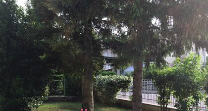 via Carducci 23 is ...